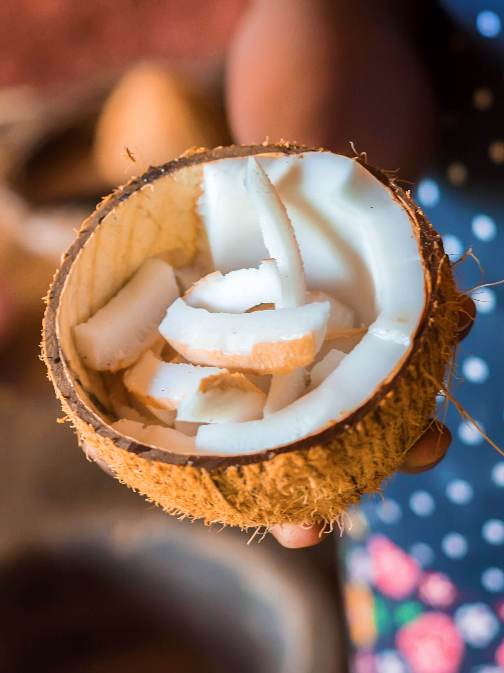 Coconut meat from the Tree of Life