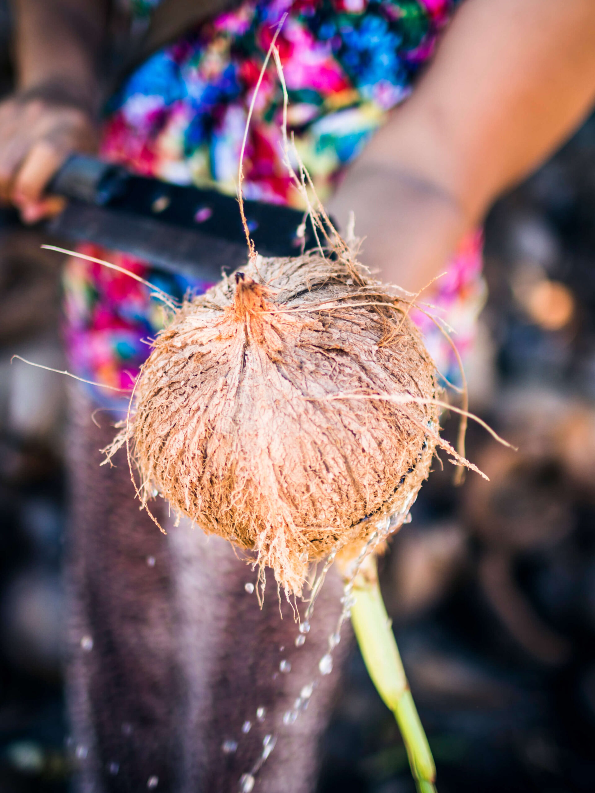 The Tree of Life: Coconut water